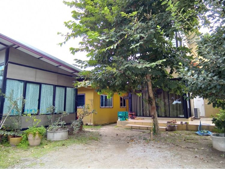 ขายที่ดินพร้อมสิ่งปลูกสร้าง 1.3 ไร่ ติดถนนเชียงใหม่ แม่โจ้  รูปที่ 4