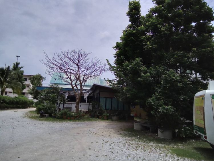 ขายที่ดินพร้อมสิ่งปลูกสร้าง 1.3 ไร่ ติดถนนเชียงใหม่ แม่โจ้  รูปที่ 3