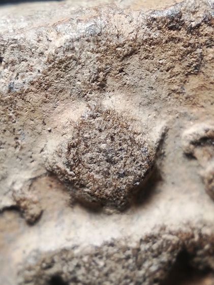 หลวงพ่อปานทรงครุฑครับ รูปที่ 4