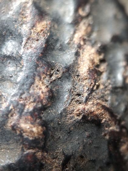 เบี้ยแก้ถักเชือกลงรักครับเขย่ามีเสียงนิ่มๆครับ รูปที่ 16