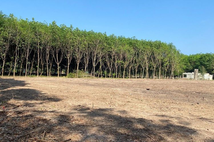 ที่ดิน แบ่งขาย