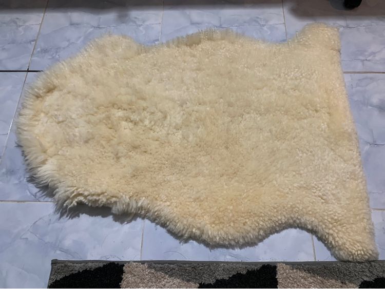 WOOLMARK SHEEPSKINพรมขนแกะแท้ขนนุ่มตลอดทั้งพื้น รวมส่ง