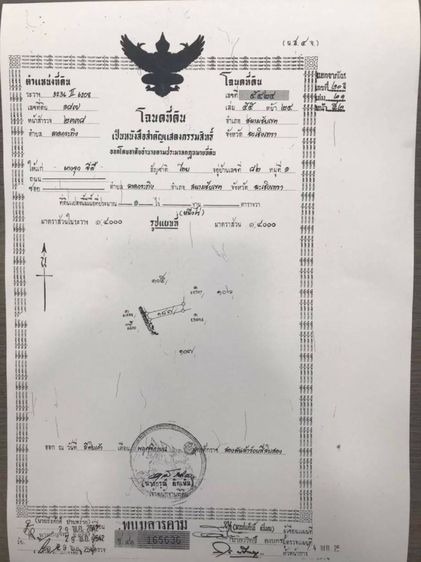 ขายที่ดิน 1 ไร่ 