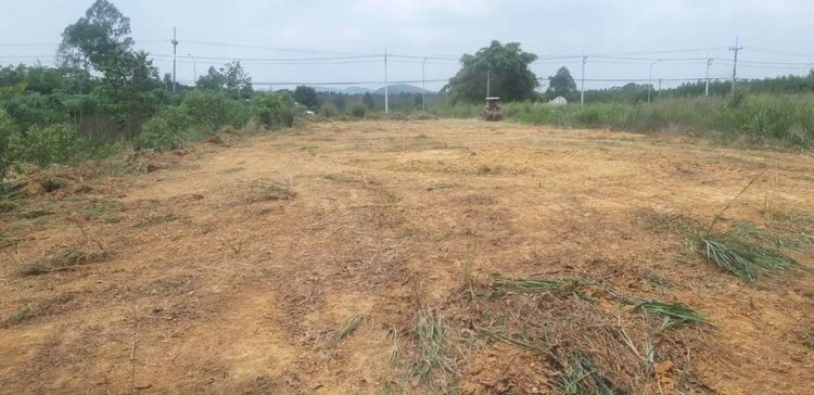 ขายที่ดิน 1 ไร่  รูปที่ 4