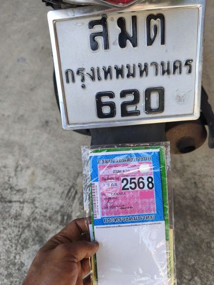 มีโอ 2 ตาแท้ รูปที่ 8