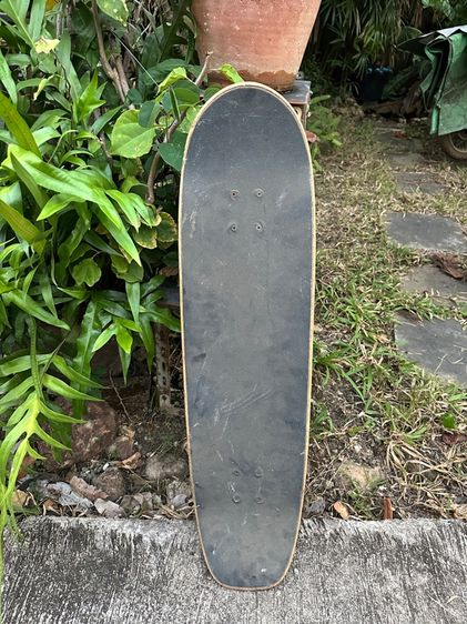 Skatebroad Carver CX 34.5”