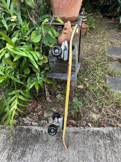 Skatebroad Carver CX 34.5” รูปที่ 8