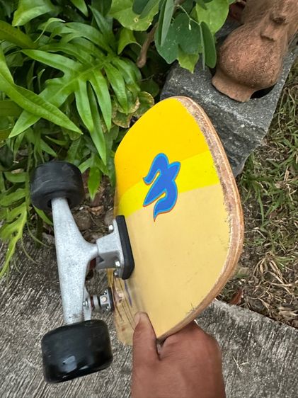 Skatebroad Carver CX 34.5” รูปที่ 15