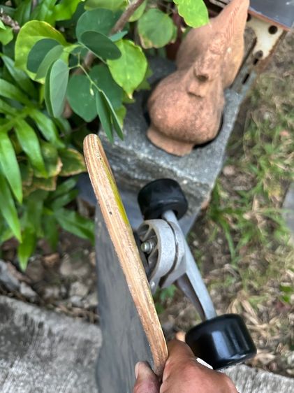 Skatebroad Carver CX 34.5” รูปที่ 13