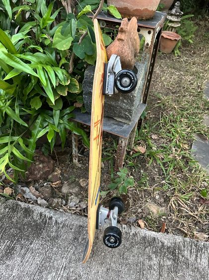 Skatebroad Carver CX 34.5” รูปที่ 14
