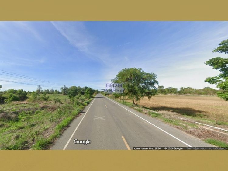 ขาย ที่ดินเปล่า 19 ไร่ 2 งาน 71 ตารางวา ต.หนองขุ่น อ.วัดสิงห์ จ.ชัยนาท รูปที่ 4