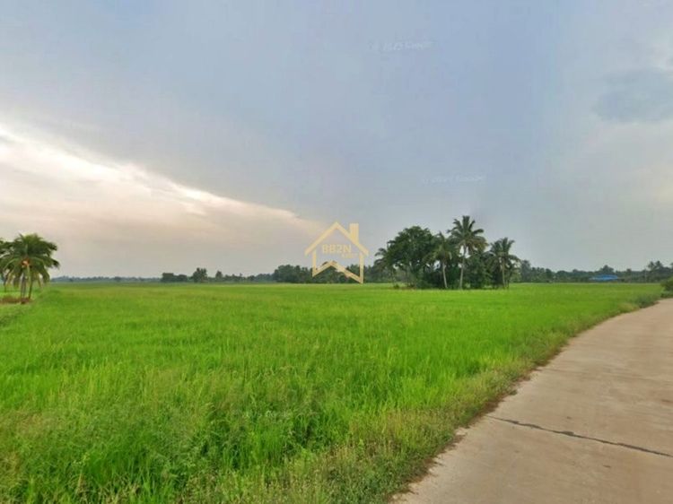 ที่ดิน 10 ไร่ ต.บ้านไร่ อ.บางกระทุ่ม จ.พิษณุโลก รูปที่ 4