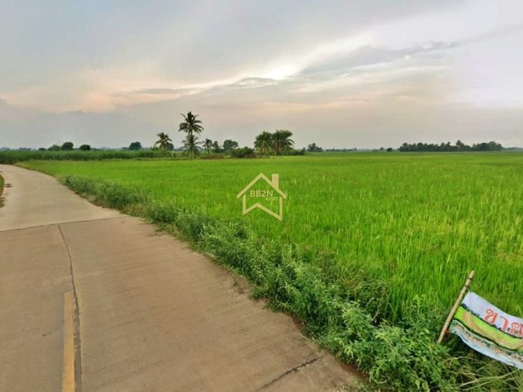ที่ดิน 10 ไร่ ต.บ้านไร่ อ.บางกระทุ่ม จ.พิษณุโลก รูปที่ 2