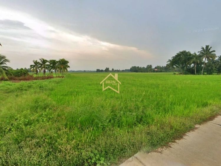 ที่ดิน 10 ไร่ ต.บ้านไร่ อ.บางกระทุ่ม จ.พิษณุโลก รูปที่ 3