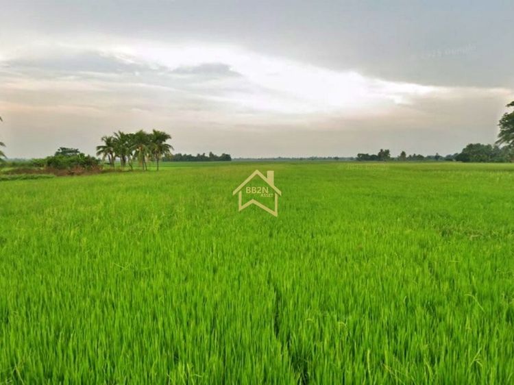 ที่ดิน 10 ไร่ ต.บ้านไร่ อ.บางกระทุ่ม จ.พิษณุโลก