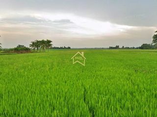 ที่ดิน 10 ไร่ ต.บ้านไร่ อ.บางกระทุ่ม จ.พิษณุโลก