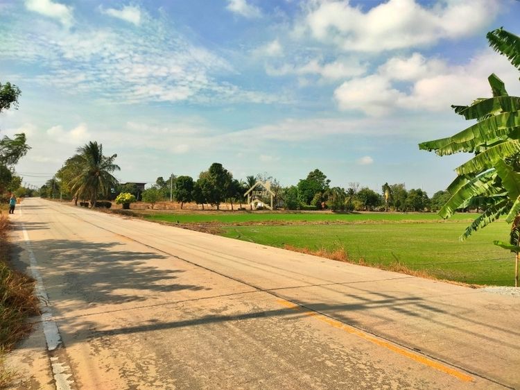 ที่ดิน 21 ไร่78 ตารางวา อ.ไทรน้อย จ.นนทบุรี รูปที่ 4