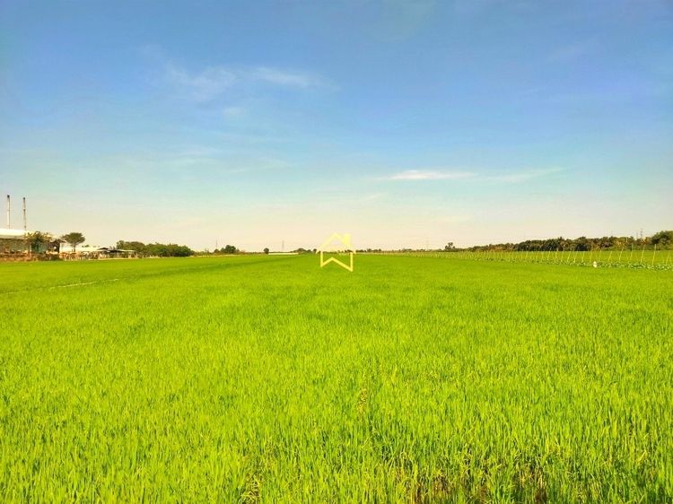 ที่ดิน 22 ไร่ 3 งาน 92.8 ตารางวา อ.ไทรน้อย จ.นนทบุรี