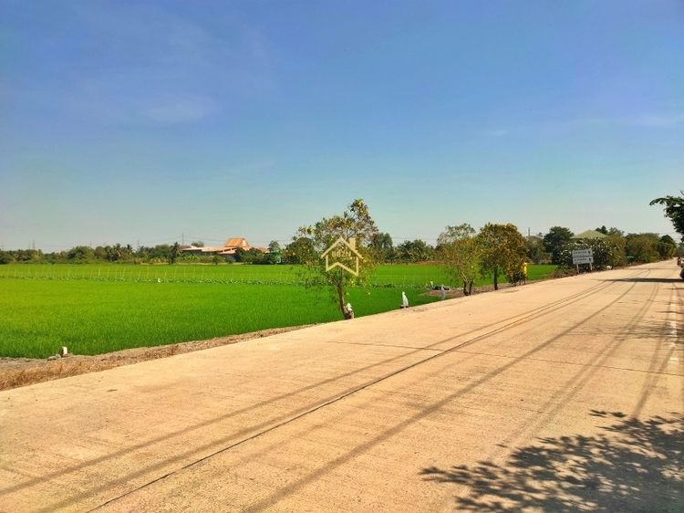 ที่ดิน 22 ไร่ 3 งาน 92.8 ตารางวา อ.ไทรน้อย จ.นนทบุรี รูปที่ 2