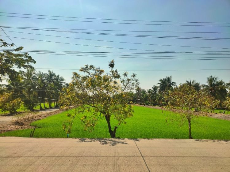 ที่ดิน 4 ไร่ 1 งาน 59.6 ตารางวา อ.ไทรน้อย จ.นนทบุรี รูปที่ 2