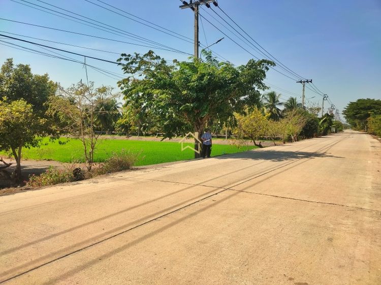 ที่ดิน 4 ไร่ 1 งาน 59.6 ตารางวา อ.ไทรน้อย จ.นนทบุรี รูปที่ 3