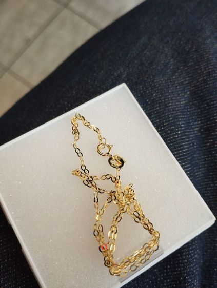 สร้อยเงิน รูปที่ 2