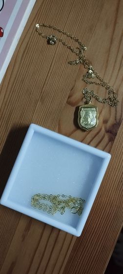 สร้อยเงิน รูปที่ 5