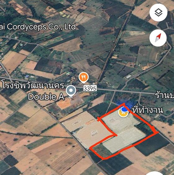 ลานตากมันสำปะหลัง