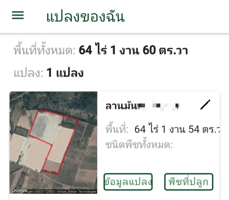 ลานตากมันสำปะหลัง รูปที่ 2