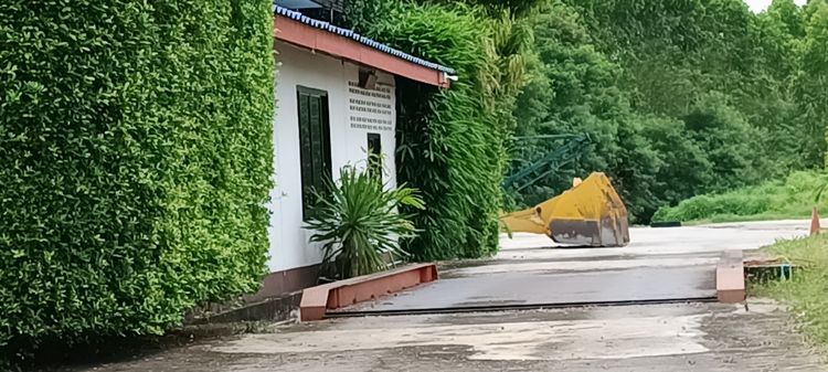 ลานตากมันสำปะหลัง รูปที่ 4