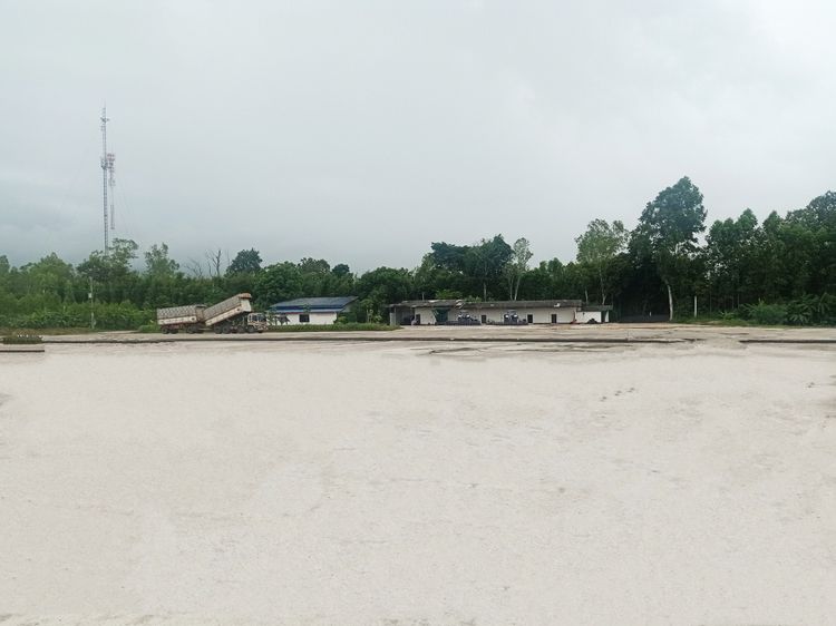 ลานตากมันสำปะหลัง รูปที่ 3