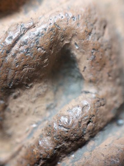 หลวงพ่อโตบางกระทิงอยุธยาครับ รูปที่ 16