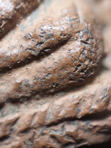 หลวงพ่อโตบางกระทิงอยุธยาครับ รูปที่ 11