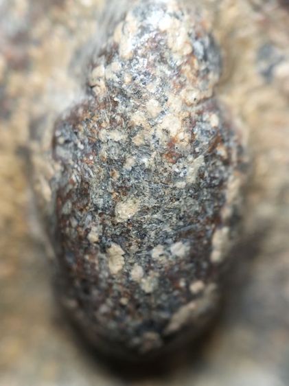 พระปางลีลาเนื้อตะกั่วสนิมแดงครับ รูปที่ 4