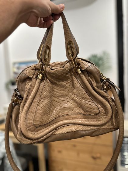 CHLOÉ MEDIUM PYTHON PARATY BAG รูปที่ 8