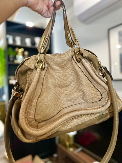 CHLOÉ MEDIUM PYTHON PARATY BAG