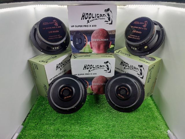 ลำโพง 6.5 นิ้ว รูปที่ 11