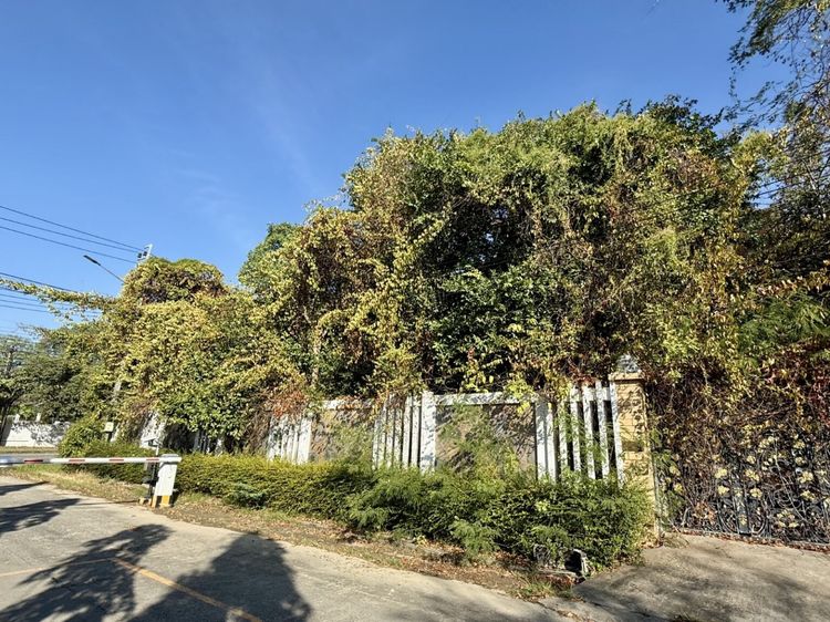 ขายผ่านการประมูล รหัส 1489051 บ้านเดี่ยว 2 ชั้น โครงการกรีนวัลเล่ บางพลี สมุทรปราการ