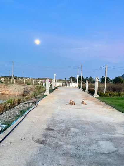 ไม่ใช่ ขายที่ดินวิวสวย แก่งกระจาน รูปที่ 4