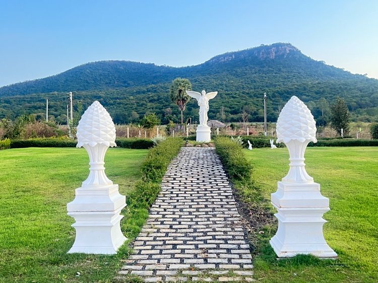 ไม่ใช่ ขายที่ดินวิวสวย แก่งกระจาน รูปที่ 3