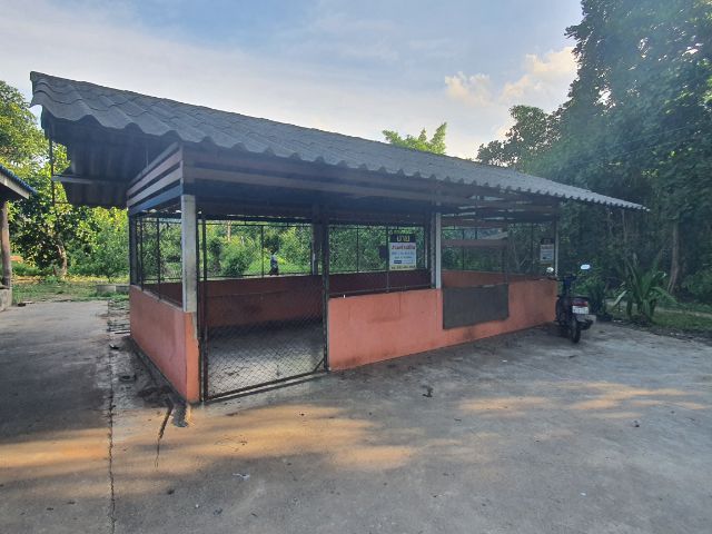 ขายบ้านพร้อมที่ดิน ผาเลือด ท่าปลา รูปที่ 2