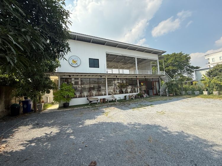 เซ้ง ร้านอาหารแถวลาดกระบัง รูปที่ 2