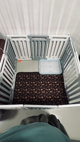 กรงน้องหมา