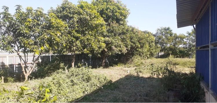 ขายที่ดินพร้อมบ้าน รูปที่ 4