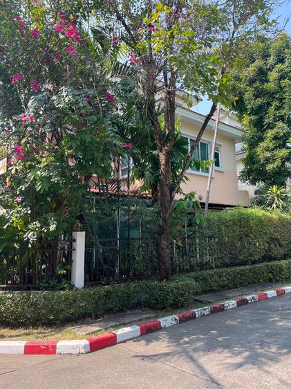 SC ASSET ตกแต่งครบ 2016 ขายบ้านเดี่ยวแปลงมุม  “ราคาพิเศษ”หมู่บ้านบางกอก บูเลอวาร์ด รามอินทรา กม.2 รูปที่ 3