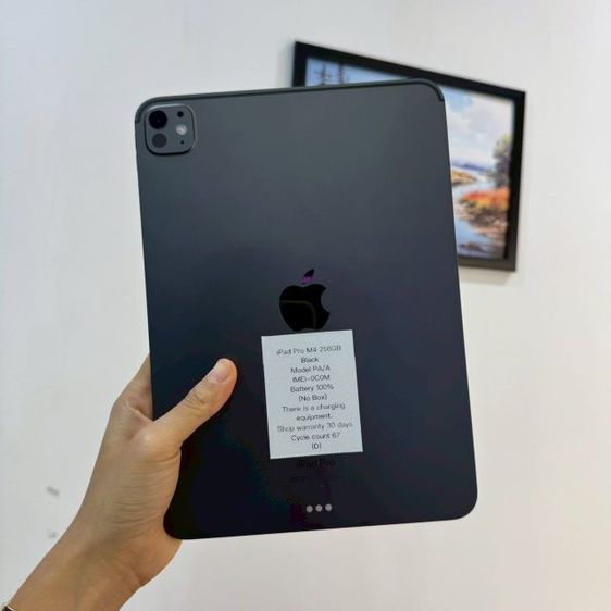 iPad Pro 11"  M4 256GB
