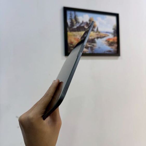 iPad Pro 11"  M4 256GB
 รูปที่ 9