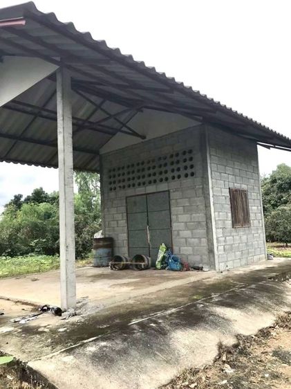 🔥ขายที่ดินด่วน รูปที่ 3