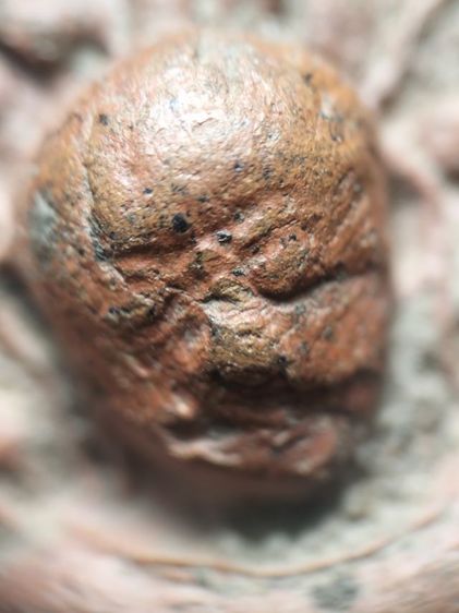 พระเปิดลำพูนเนื้อแดงครับ รูปที่ 5