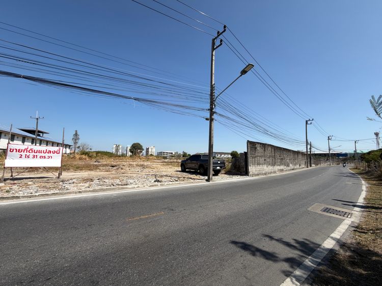 ขายที่ดินใกล้นิคมอมตะซิตี้ เชื่อมถนนศุขประยูร -ชลบุรี ใกล้ถนนใหญ่ ที่ดินสวย ไม่ต้องถม รูปที่ 4